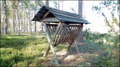 Que ne désigne pas un "râtelier" ?