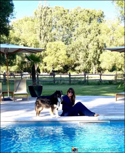 Quel est le vrai nom de "Mr Calin", le chien de Karen ?