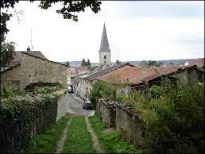 Je vous emm&egrave;ne dans le Grand-Est, &agrave; Maxey-sur-Vaise. Village de la Communaut&eacute; de communes Commercy-Void-Vaucouleurs, il se situe dans le d&eacute;partement ...