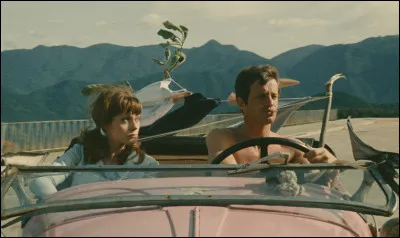 Dans "l'Homme de Rio", il est Adrien Dufourquet dont la fiancée est enlevée pour une mystérieuse histoire de statuettes pré-colombiennes. Quelle actrice joue Agnès, la fiancée d'Adrien ?