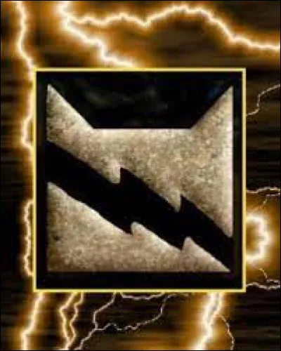 Je suis chef du Clan du Tonnerre dans le cycle 1 :