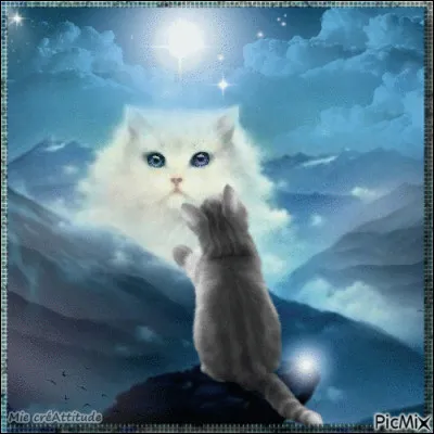 Un seul être vous manque et tout est dépeuplé !