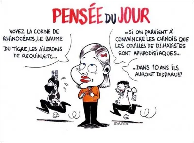 Je pense donc je suis !