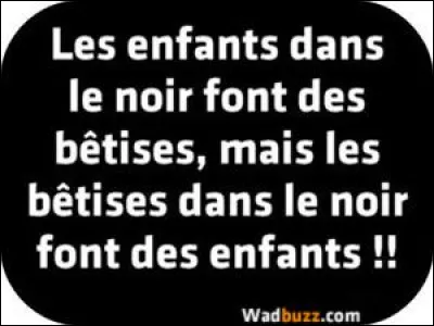 Deux choses sont infinies : l'Univers et la bêtise humaine !