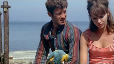 Quelle est l'actrice principale du long-métrage "Pierrot le fou" ?