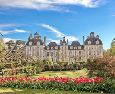 Quelle est cette ville française de Sologne, célèbre pour son château qui a servi de modèle à Hergé pour dessiner Moulinsart ?