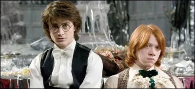 Qui accompagne Harry Potter au bal de Noël ?