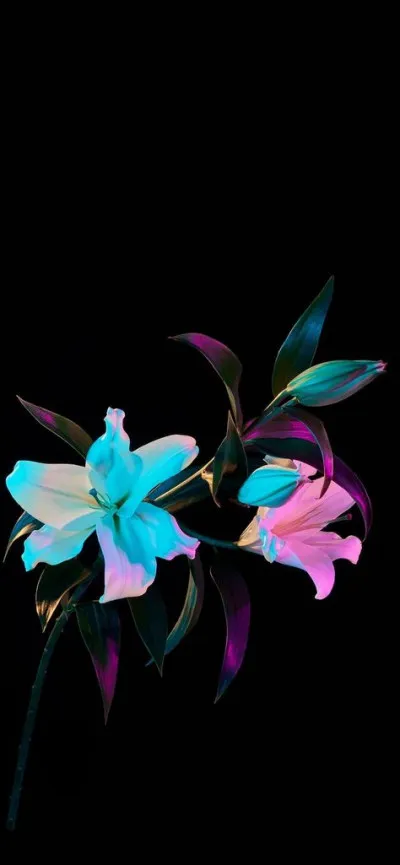 Et puis en plus, pourquoi payer pour se faire peur ? Je suis plus &agrave; l'aise dans l'__.