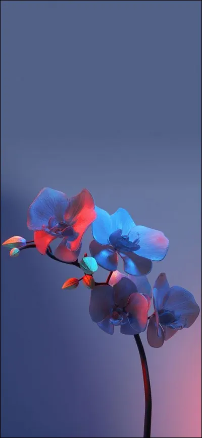 Laquelle de ces orthographes est correcte ?