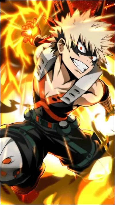 Quel est le numéro du carnet d'Izuku, que Bakugo explose dans l'épisode 1 ?