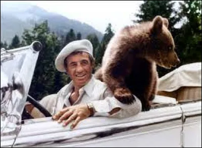 "On ne dit pas : "juif vous avez l'air"... Mais "vous avez l'air juif". Si je vous dis : "Con vous avez l'air", c'est pas français C'est juste mais c'est pas français". Celle-ci nous vient du film ...