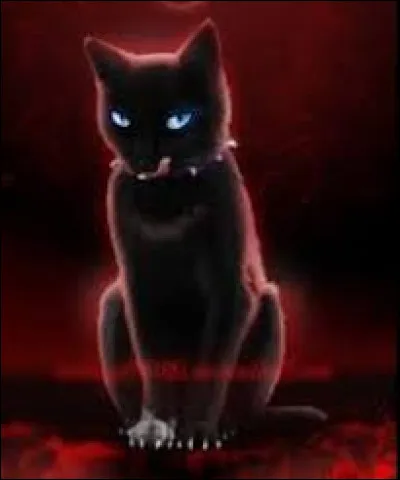 Quelquun veut te tuer. Pourquoi ?