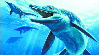 Parmi ces créatures marines, un combat pouvait avoir lieu. Lequel ?