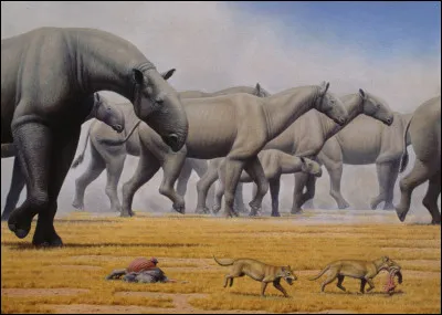 Il n'y a pas que les reptiles qui sont grands. La preuve avec ces (...) gigantesques.