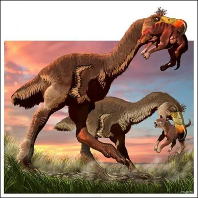 D'ailleurs, comment s'appelle ce représentant de l'espèce ?