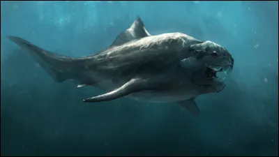 Ce poisson fait très peur, mais comment se nomme-t-il ?