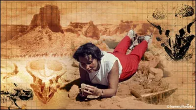 Zofia Kielan-Jaworowska (1925-2015) est une paléontologue polonaise. À partir de 1965, elle a dirigé une série d'expéditions paléontologiques polono-mongole dans le désert de Gobi. Elle est connue pour avoir décrit le Deinocheirus, le dinosaure qui a les plus :