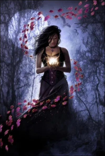 Qui a dit : « Une bonne sorcière efface les traces de son passage, mais les meilleures sorcières savent les repérer »