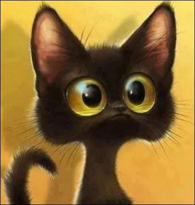 Quels sont tes principaux traits de caractère ?