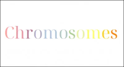 Que sont les chromosomes ?