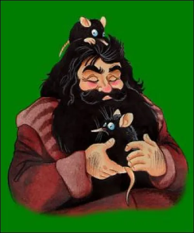 Lors d'un cours sur les Niffleurs donné par Hagrid, qui se fait mordre la main car elle avait une montre ?