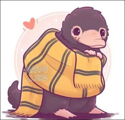 Par quoi sont souvent attirés les Niffleurs ?