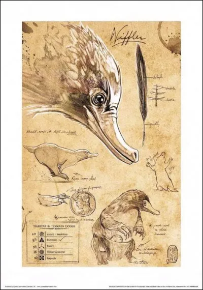 Comment est classé le Niffleur ?