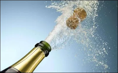 Quel bébé Niffleur vola sur un bouchon de champagne, chez Norbert, lors de leur petite escapade ?