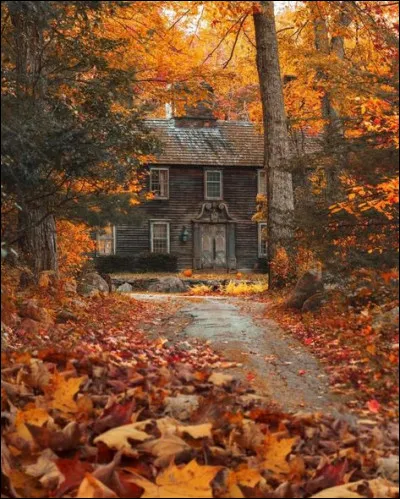 En quelle année la Sécurité sociale est-elle créée en France ?