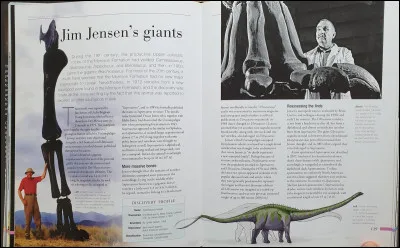 En 1985 Jim Jensen découvrit Supersaurus, un dinosaure géant. En 1991 il crut découvrir le plus grand dinosaure du monde qu'il baptisa Ultrasauros. En réalité, il s'agissait de vertèbres de Supersaurus mélangées avec l'os d'une patte d'un...