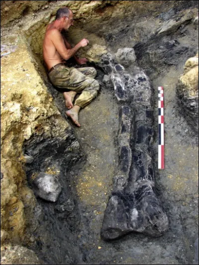 Jean-François Tournepiche (1956- ) est un paléontologue français qui supervise les fouilles sur le seul grand gisement de dinosaures de France. Ce gisement se trouve dans la région :