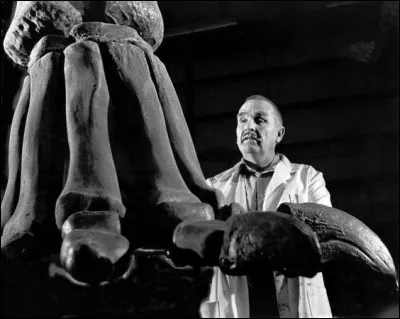 Jim Jensen (1918-1998) était un paléontologue autodidacte qui n'a pas fait d'études supérieures. Avant de découvrir des nouveaux dinosaures, il était artiste peintre et sculpteur mais aussi :