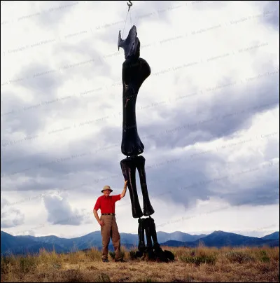 Inventif, son ancien métier a apporté une grande contribution à la paléontologie pour :