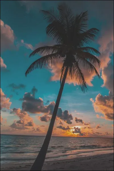 Combien d'atomes trouve-t-on dans une maille de type CFC ?