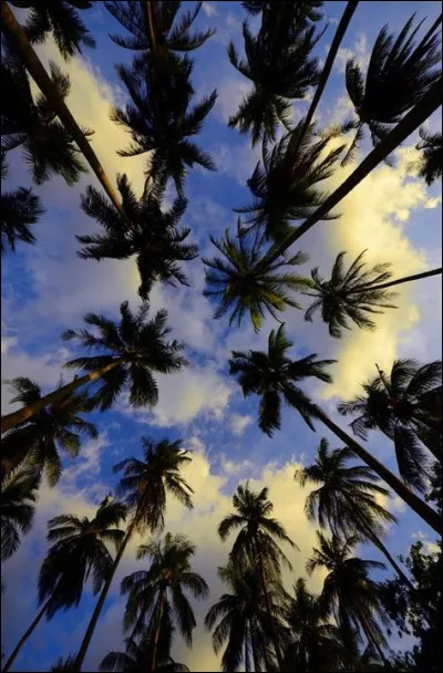 Le tempête Laura s'est-elle abattue sur le Texas ?