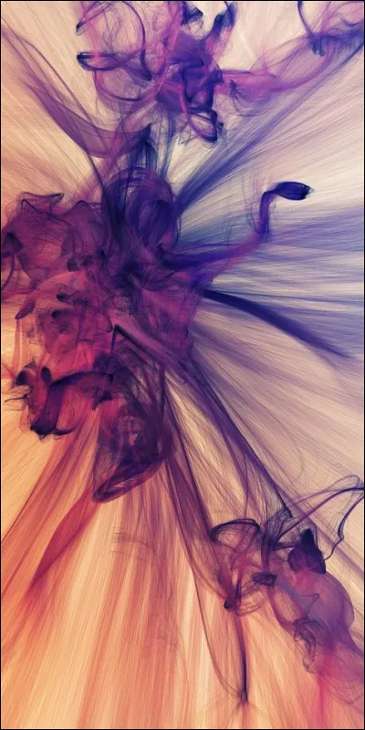 Avant que les talibans ne prennent le pouvoir, l'Afghanistan était doté d'un empereur.