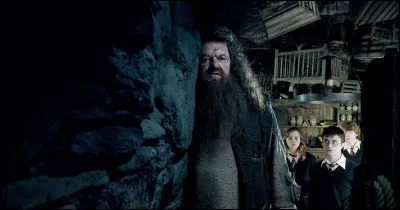 Qu'est-ce que Hagrid demande à Harry, Ron et Hermione ?