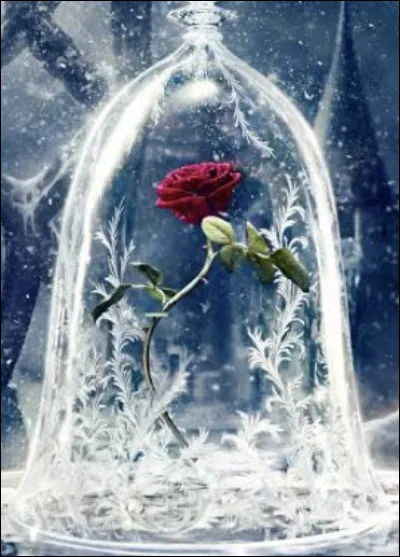 De quel Disney vient cette rose ?
