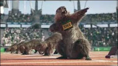 Quelle chaîne a proposé pendant plusieurs années des marmottes pour animer certaines séquences ?