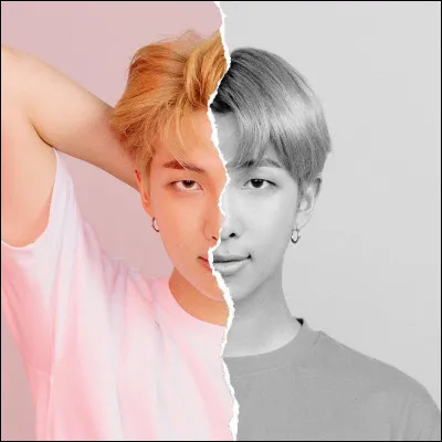 Quelle est la chanson favorite de RM ?