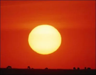 Qu'est-ce que c'est ?