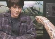 Test Quelle langue magique du monde de Harry Potter parles-tu ?