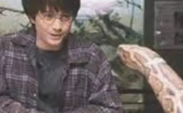 Quiz Harry potter