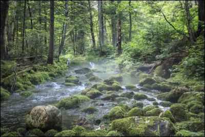 « C'est une triste chose de songer que la (...) parle et que le genre humain n'écoute pas. »