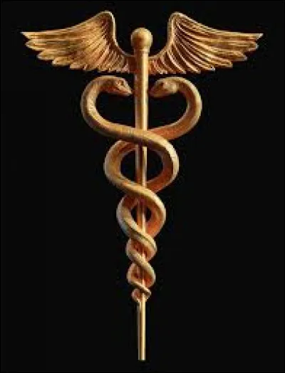 Quel objet le représente ?