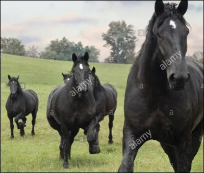 En quelle ann&eacute;e fut-il cr&eacute;&eacute; ?