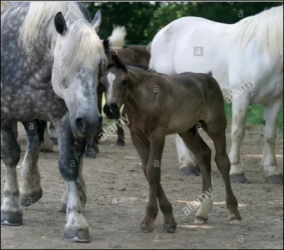 Et sa t&ecirc;te est�