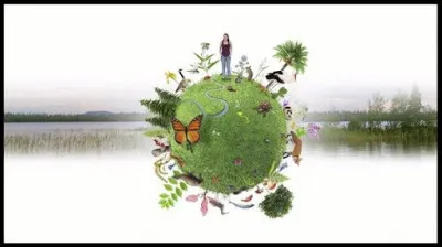 Qu'est-ce que la biodiversité ?