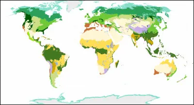(Pour voir si tu as compris) : La taïga est la région russe, et la forêt située dans la taïga c'est la Sibérie.