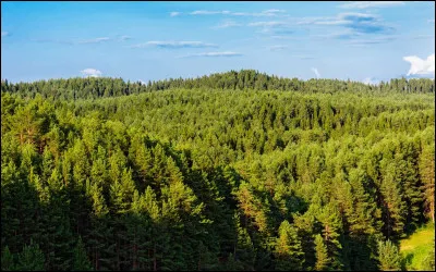 Quel est le climat de la taïga ?